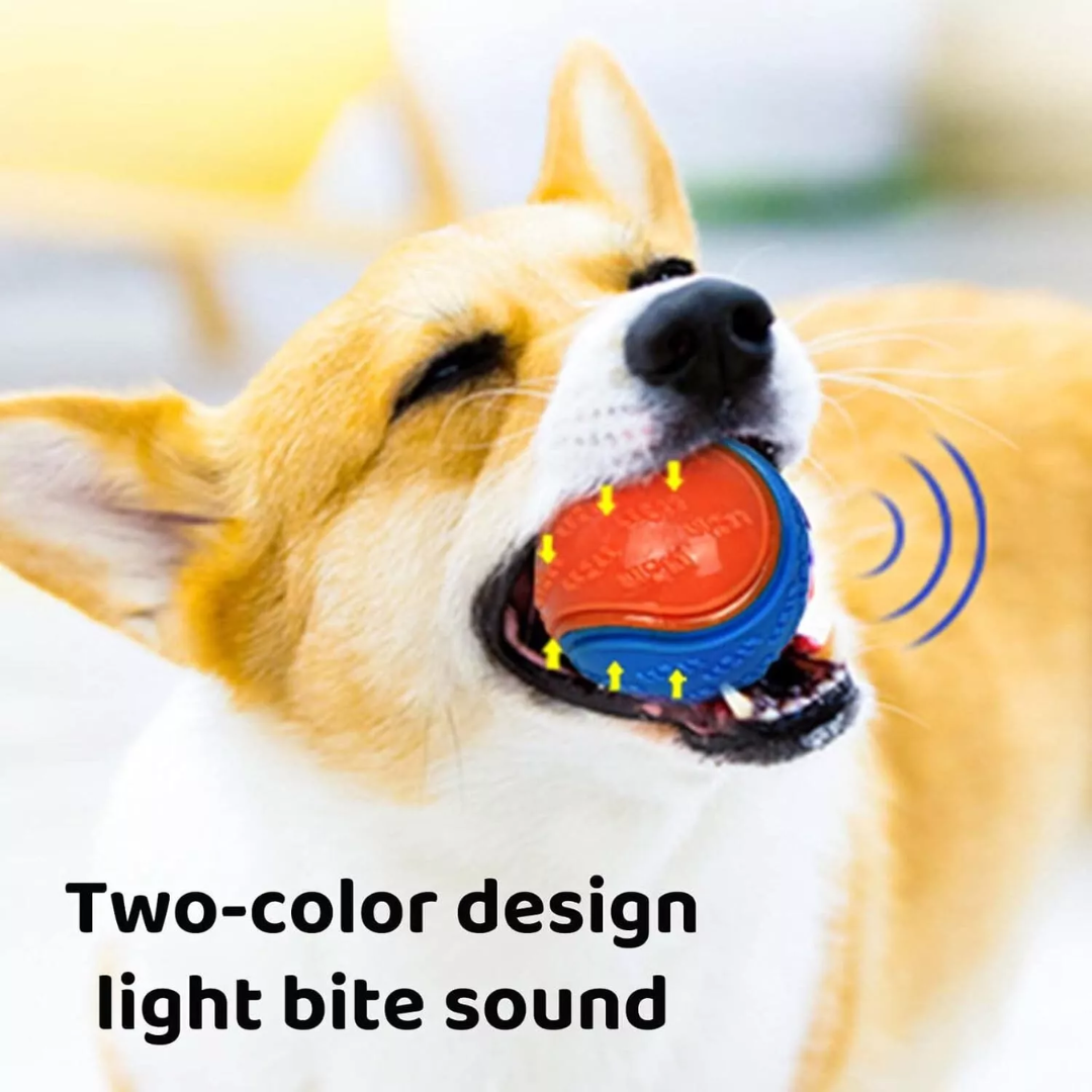 Dogs TPR Toys for Dog Pet Teeth Cleaning Bite Resistance Squeaky Dog Ball Toy UK